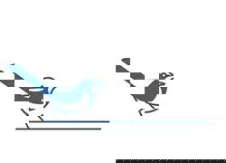 FWC Florida Fish and Wildlife Conservation Commission logo